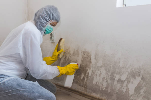 Best Biohazard Mold Removal  in Liberty, UT