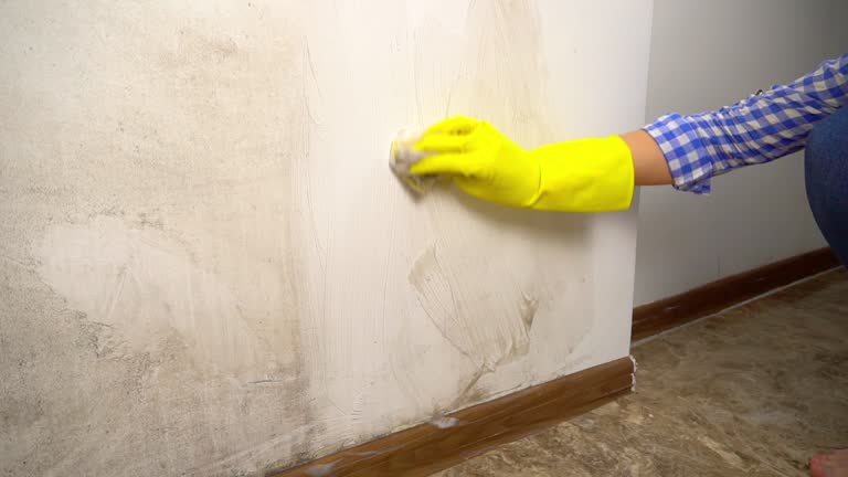 Best Attic Mold Removal  in Liberty, UT